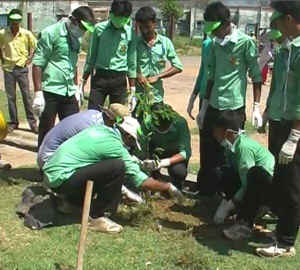 Environmental Sustainability Efforts